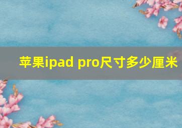 苹果ipad pro尺寸多少厘米